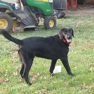 Meet your Posher, Theresa